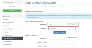 Private name server4